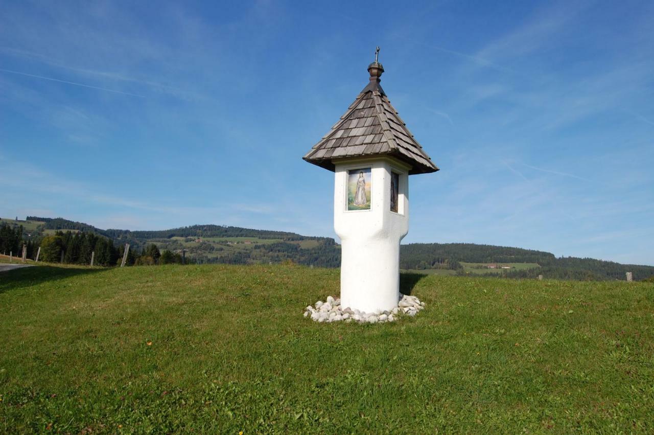 Urlaub Am Zechnerhof Apartman Straßburg in Kärnten Kültér fotó